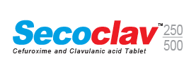 SECOCLAV