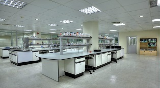 Manufacturing Facilities